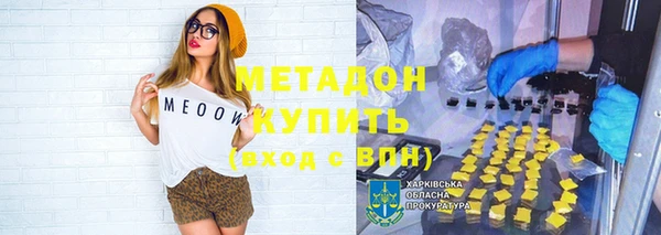 шишки Арсеньев