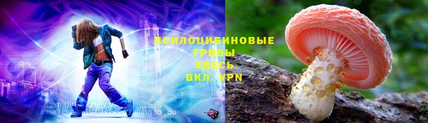 шишки Арсеньев