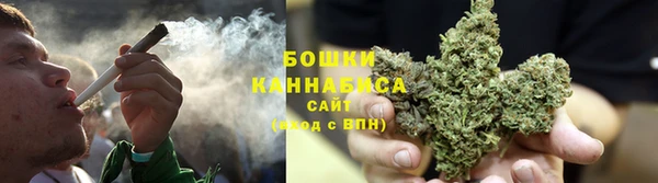 шишки Арсеньев