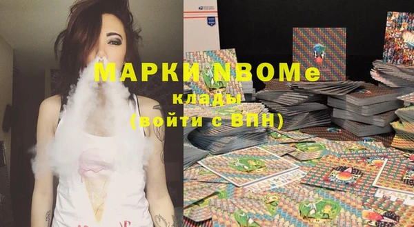 шишки Арсеньев