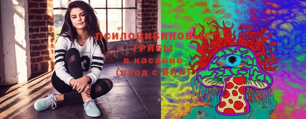 шишки Арсеньев