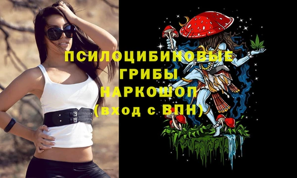 круглые Армянск