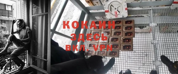 круглые Аркадак