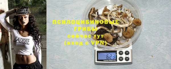 шишки Арсеньев