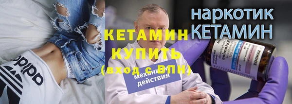 шишки Арсеньев