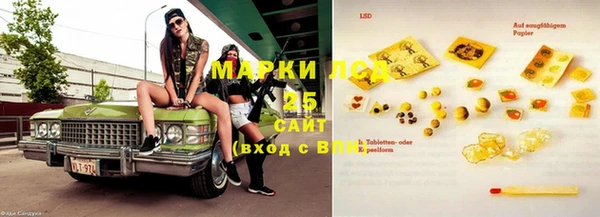 шишки Арсеньев